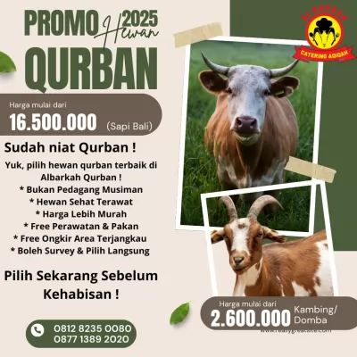 sapi qurban 2025